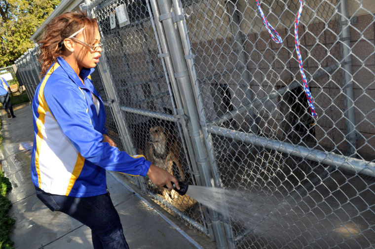 Copperettes shelter visit